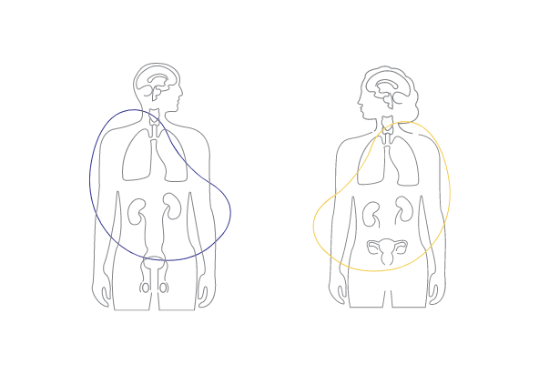 ENDOCRINE